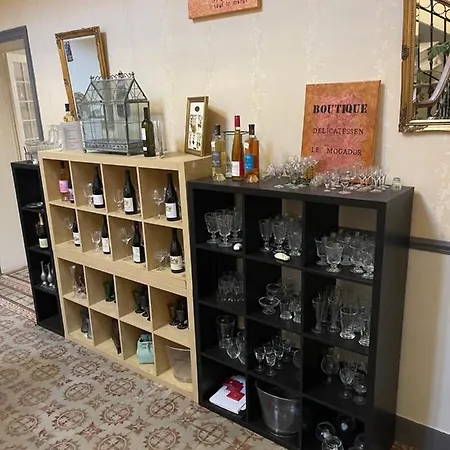 马丁内城堡酒店 3* 维厄勒斯
