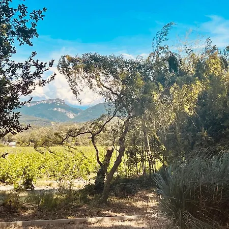 Le Mogador Chateau Du Martinet Bed and breakfast 3*